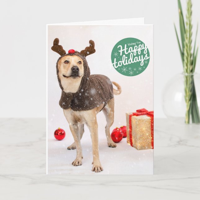 Holiday Cards (Front)