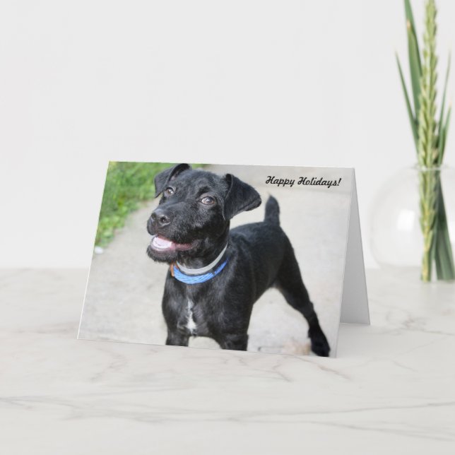 Holiday Cards "Holiday cheer" (Front)