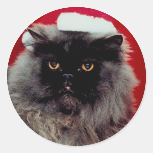 Holiday Cat Classic Round Sticker (Front)