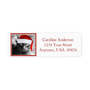 Holiday Cat, Personalized Return Address
