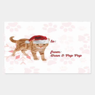 Holiday Cats in Red and Pink Snowflake Sticker