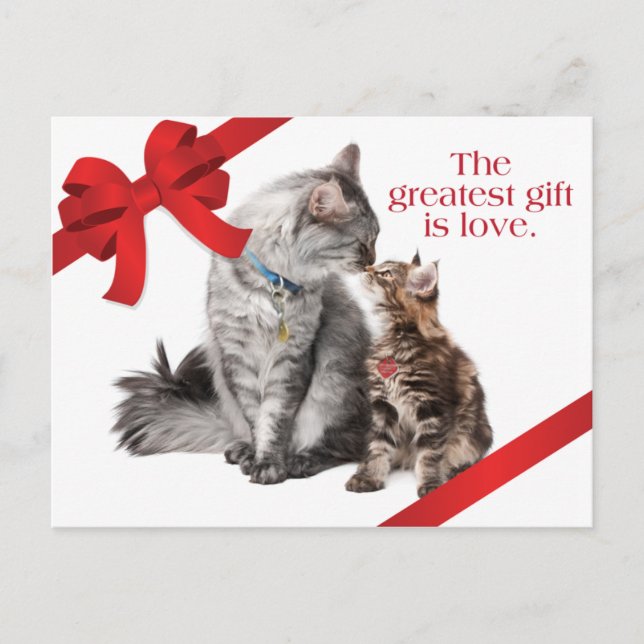 Holiday Cats Postcard (Front)