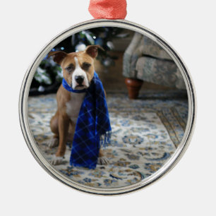 Holiday Cheer from Pit Bull Rescue Dog Metal Ornament