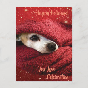 Holiday Chihuahua Postcard