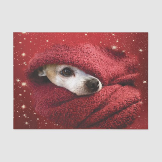 Holiday Chihuahua  Tissue Paper (Front)