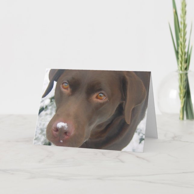 Holiday Christmas Card - Chocolate Labrador Dog (Front)