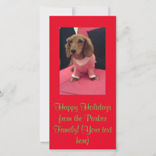 Holiday Christmas Dachshund Red Green Card