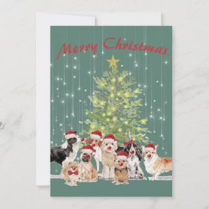Holiday Christmas Dog Lovers Green Merry Santa Hat Card