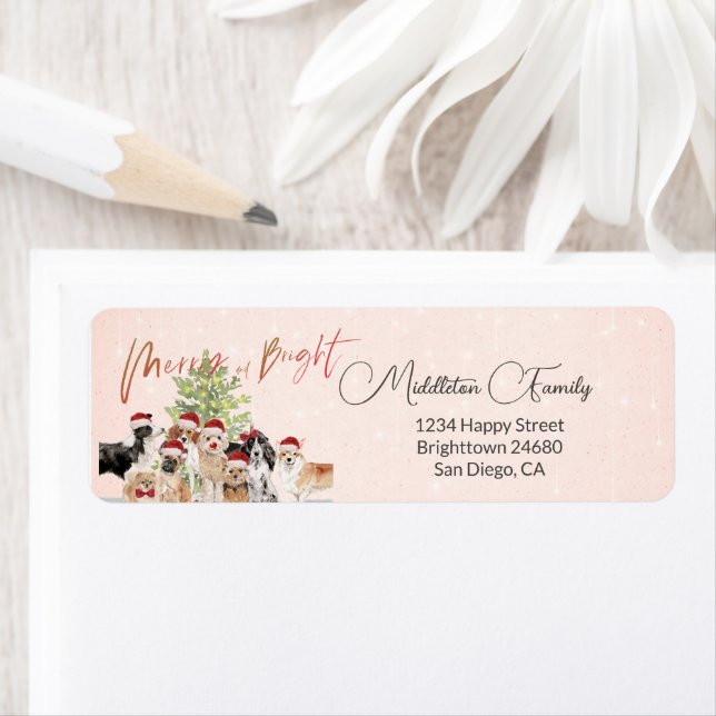 Holiday Christmas Dog Lovers Merry Santa Hat (Insitu)