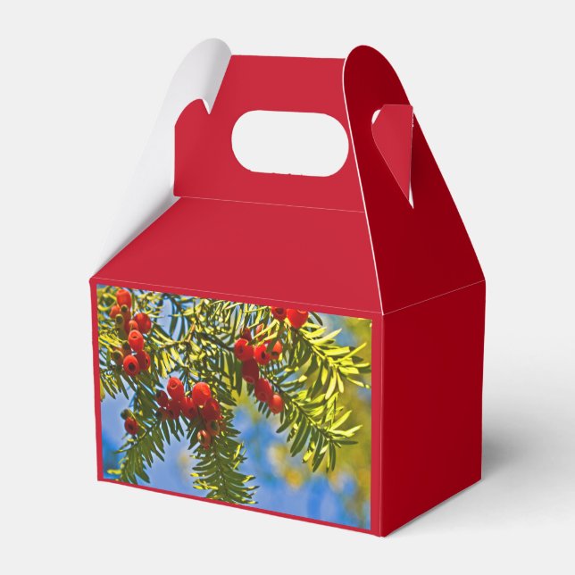 Holiday Conifers Favor Box (Back Side)