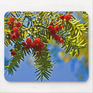 Holiday Conifers Mouse Pad