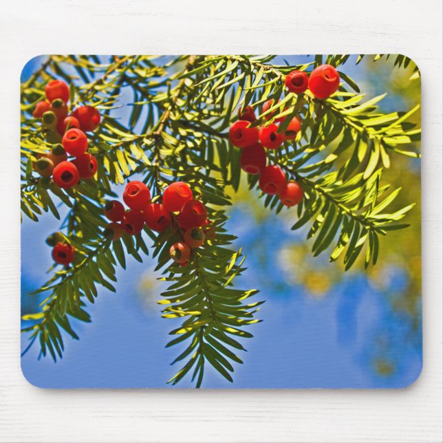 Holiday Conifers Mouse Pad (Front)
