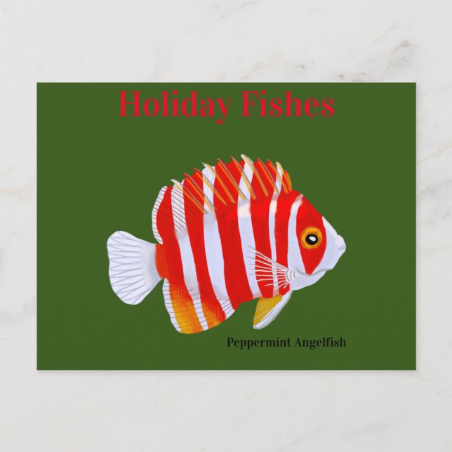 Holiday Fishes Peppermint Angelfish Postcard (Front)