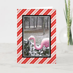 Holiday Flamingo Greeting Card