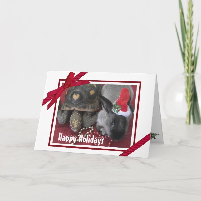 Holiday Friends Rabbit & Tortoise Photo So Cute! (Front)