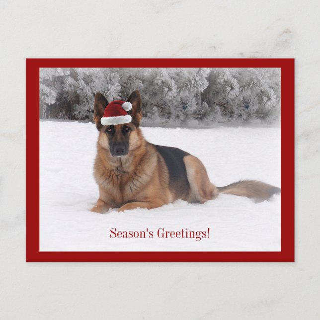 Holiday German Shepherd (Front)
