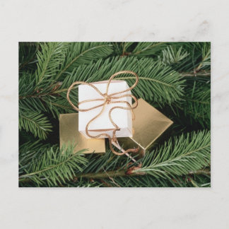 Holiday Gifts In Tree Postcard