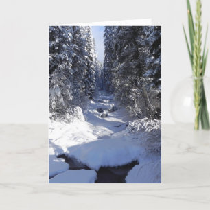 Holiday Greeting Card