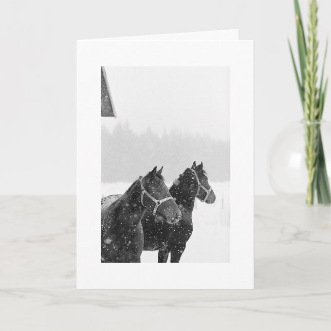 Holiday Greeting Snow Horses Xmas Equine Christmas (Front)