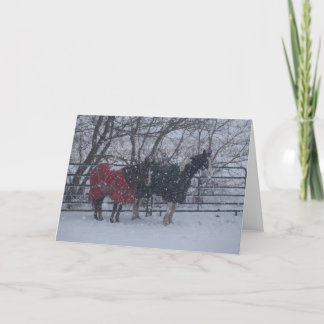 Holiday Greetings
