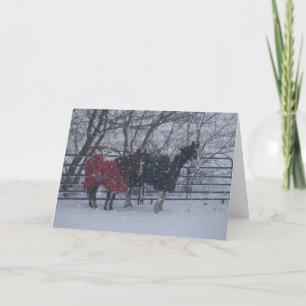 Holiday Greetings Card