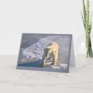 Holiday Greetings - Polar Bear