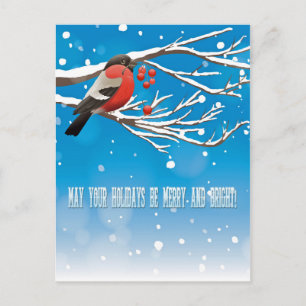 Holiday Greetings Postcard