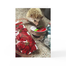 Holiday Hedgehog Funny Christmas Card
