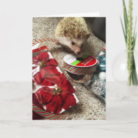 Holiday Hedgehog Funny Christmas Card