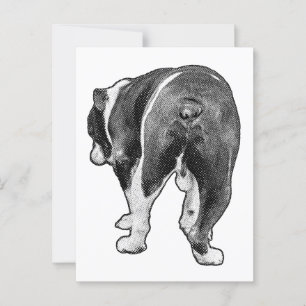 Holiday Hello from a Speckled Bulldog Postcard