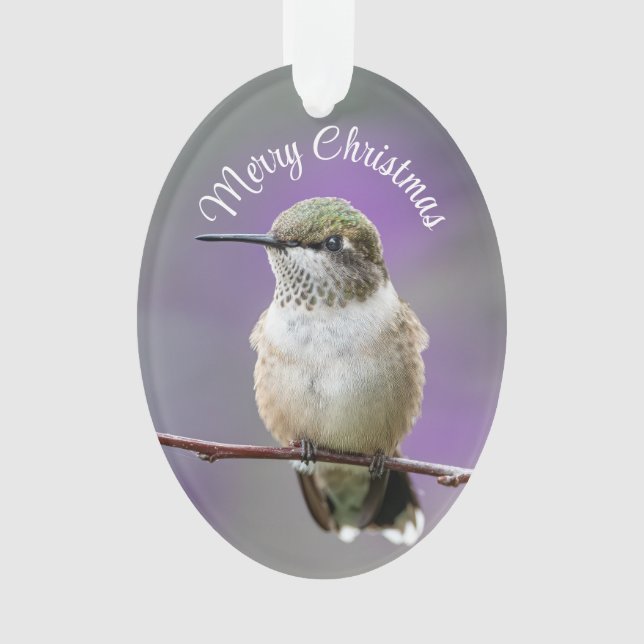 Holiday Hummingbird Acrylic Ornament (Front)