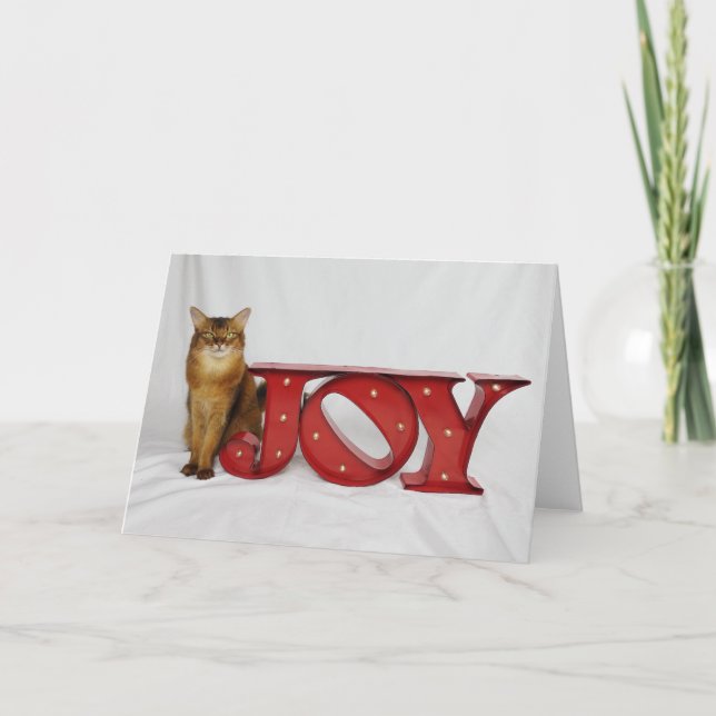 Holiday Joy featuring Summer Samba Card (Front)