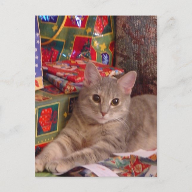 Holiday Kitty (Front)
