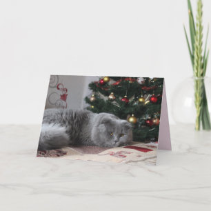 holiday kitty greeting card
