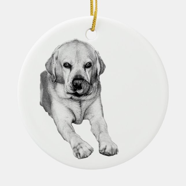 Holiday Lab in soft tone Ceramic Ornament (Front)