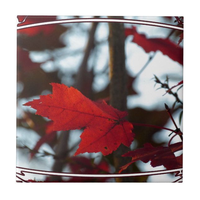 Holiday Leaves Tile (Front)