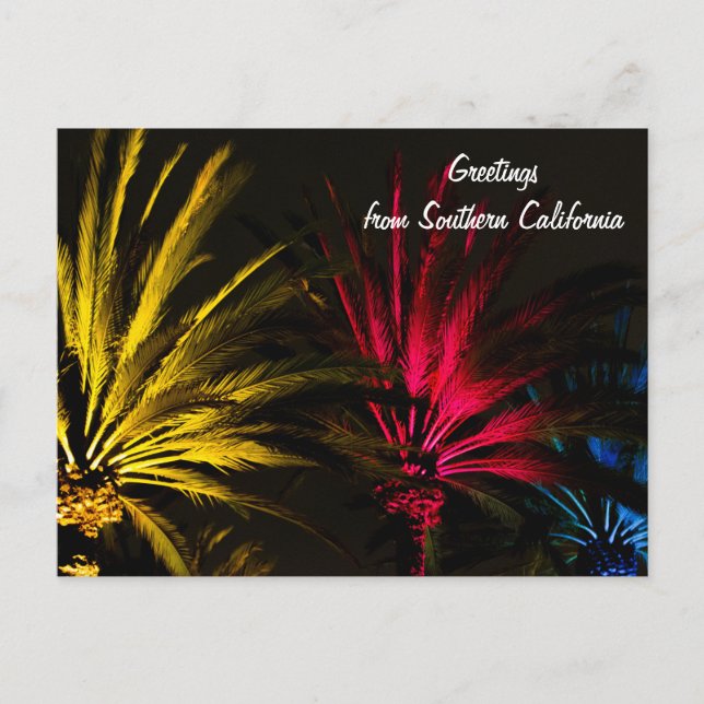 Holiday Lights Palm Tree Postcard (Front)