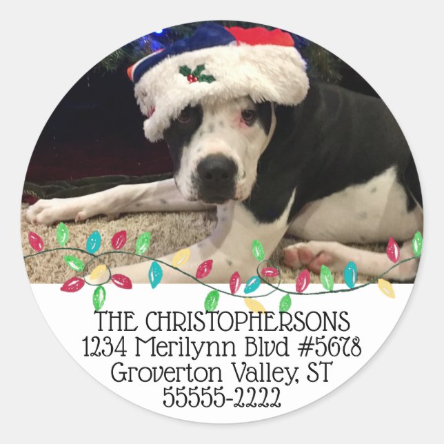 Holiday Lights Pet Photo Return Address Classic Round Sticker (Front)