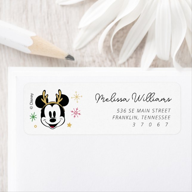 Holiday Mickey and Friends Baby Shower (En situation)