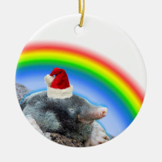 Holiday mole ceramic ornament