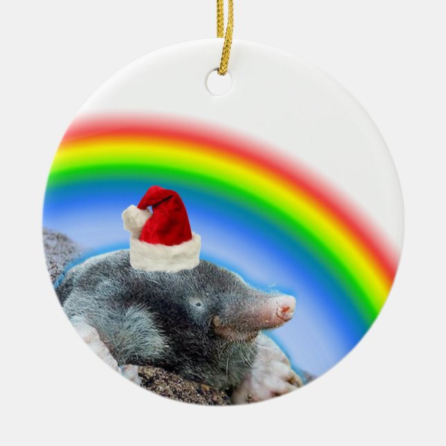 Holiday mole ceramic ornament (Front)
