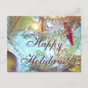 Holiday Ornaments in the Light Postcard
