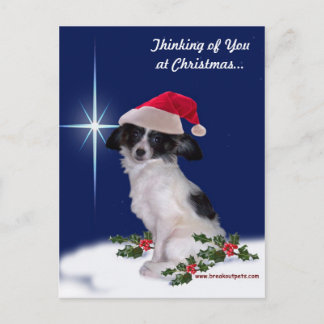 Holiday Papillon Postcard
