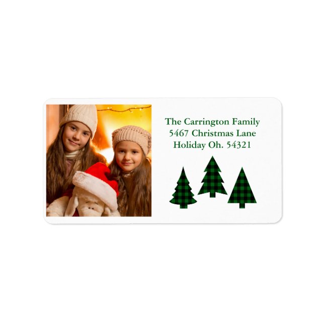 Holiday Photo Buffalo Christmas Address Label (Front)