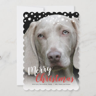 Holiday Photo Card | Doggie Love