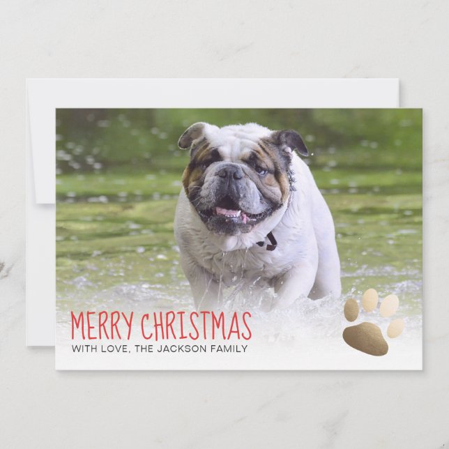Holiday Photo Card | Gold Paw Dog (Front)