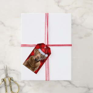 Holiday Plaid Chesapeake Retriever Dog Christmas Gift Tags