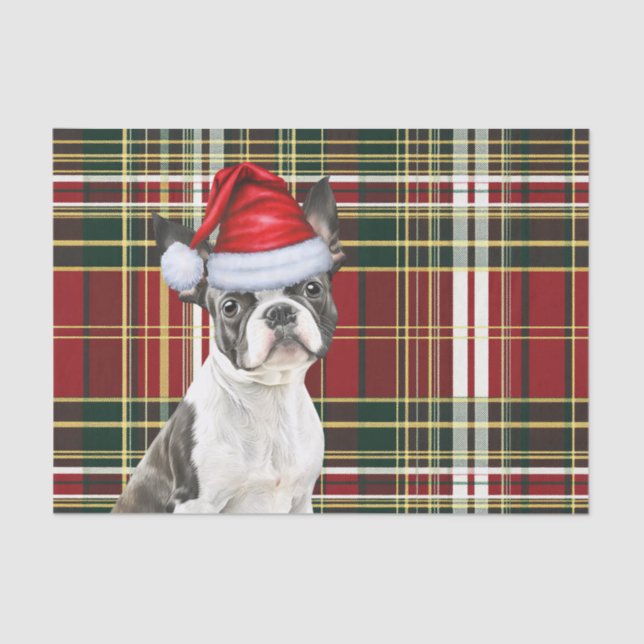 Holiday Plaid Christmas Boston Terrier Dog Lover Tissue Paper (Front)