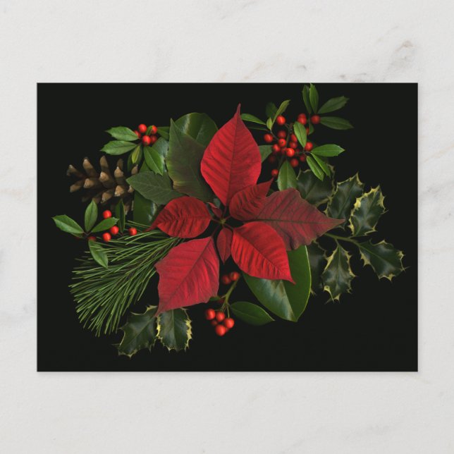 Holiday Postacard Postcard (Front)