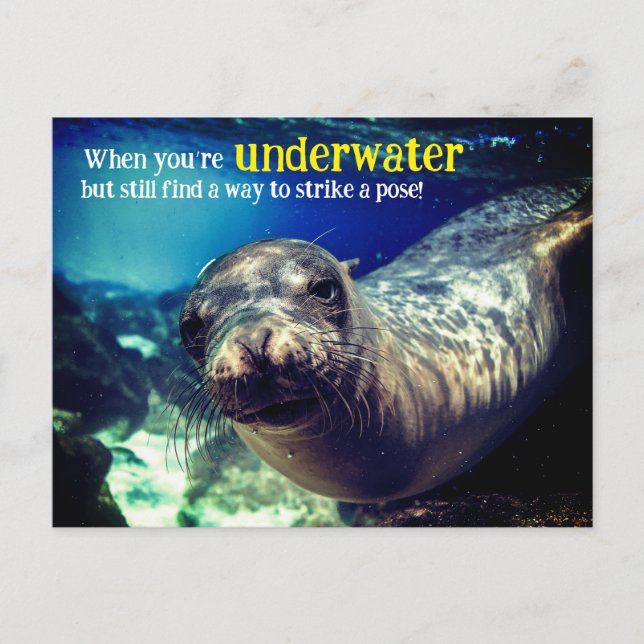 Holiday Postcard (Front)